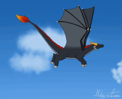 IMG 3111.gif