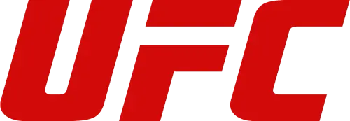 pngimg.com ufc PNG64.png.webp