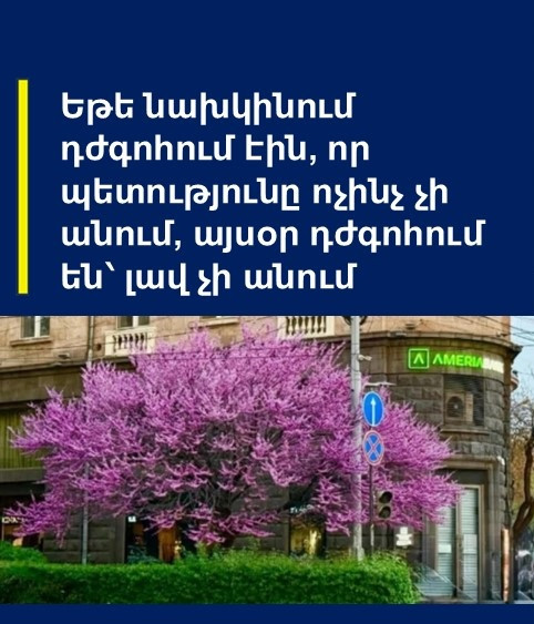 489926223 1115347600632569 730410729868928585 n.jpg? nc cat=102&ccb=1 7& nc sid=127cfc& nc ohc=XiIpy.jpg