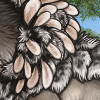 SpottedRabbitCloak Icon.png