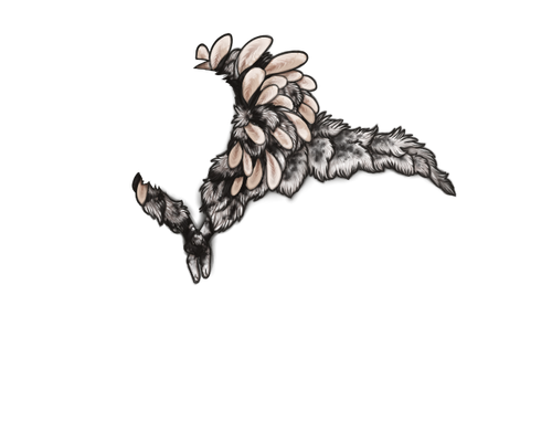 SpottedRabbitCloakVer3 Full.png