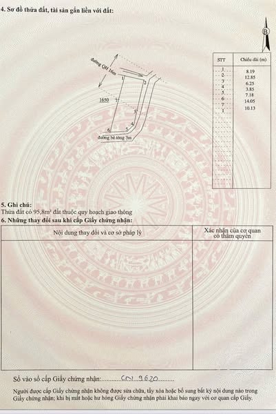 490028673 1052467633417121 5715714070399142252 n.jpg