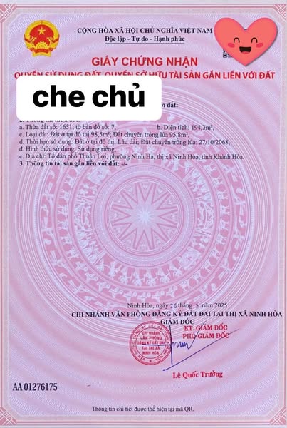 489955627 1052467436750474 821237118491256056 n.jpg