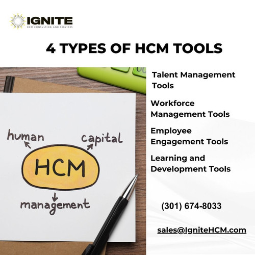4 types of HCM Tools.jpg