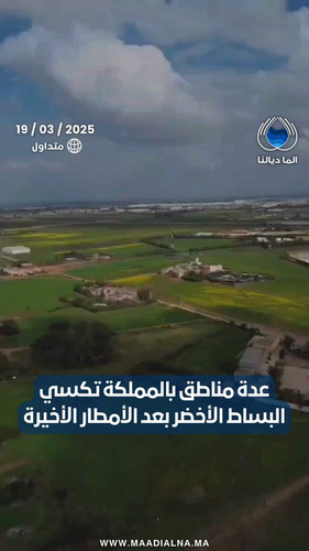 pEC7FaJiT2mI0UTW.1