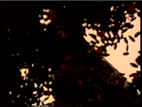 vlcsnap 2025 04 09 18h53m34s221.png