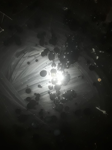 ٢٠٢٥٠٤٠٩ ١٨٥٤١٥.jpg