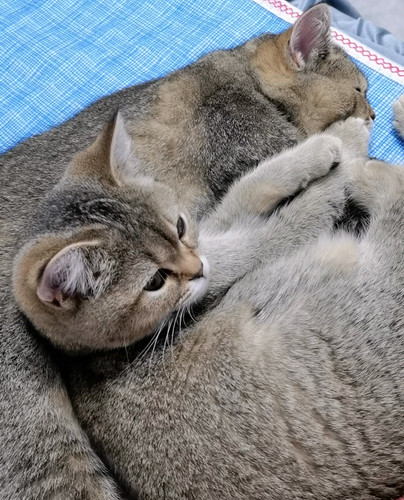 Videoframe 20250410 002814 com.android.gallery3d edit 163063669250637.jpg