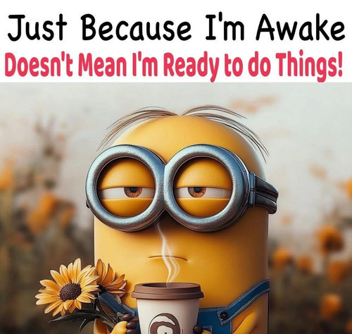 FB IMG 1744216334088.jpg