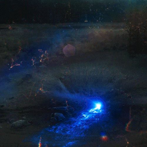 tumblr 1b1acc2dd6fb7e30a432332135d1ac52 06ceda28 540.gif