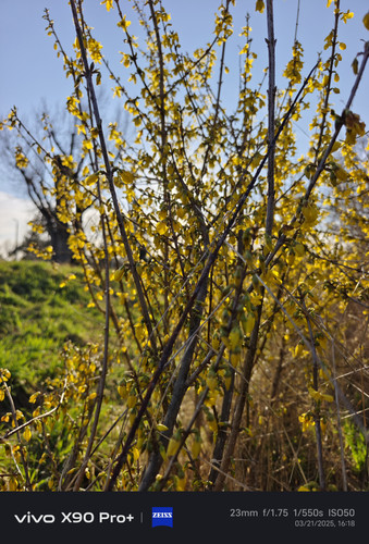 IMG 20250321 161835.jpg