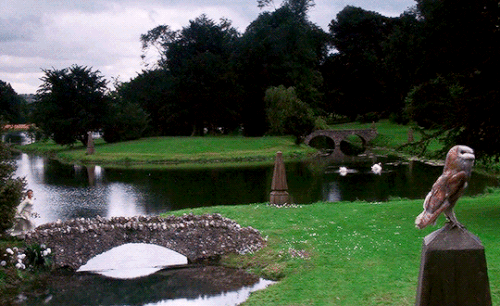 tumblr 3abf57cf47166f3c8a7c7958dafa88ed 0c3940a5 540.gif