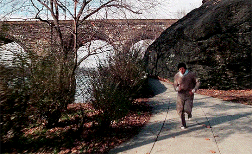 tumblr 7b99d4e15aa056ef338587cf53838cf8 95e5ab5d 540.gif
