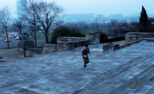 tumblr 6ebf9546625cb1d47a348411d8a55d66 d2455422 540.gif