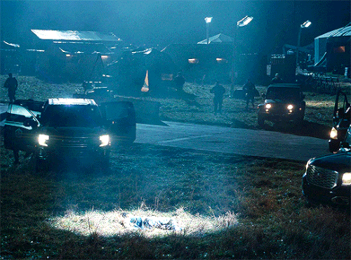 tumblr 54484aed5fa2ff2b0d452598a0b9d4f4 efd3c9f5 540.gif