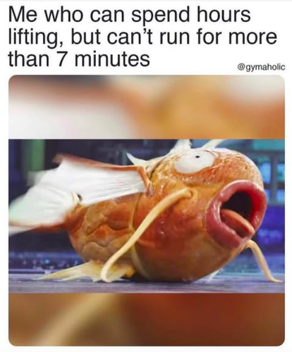 Screenshot 2025 05 26 at 8.41.26 AM.png