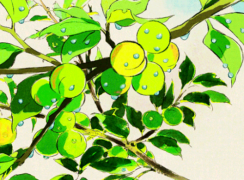 tumblr 8376a036f81bf1da3fc2ab841c580de5 fef1eef4 540.gif