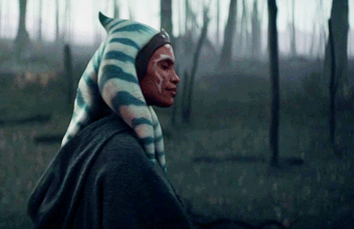 tumblr 7f1f245b903ff3874f3afe01e4dc7a89 706e95e8 540.gif