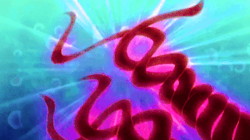 tumblr cd0b174879bd5bb371053ee53f028514 f9a88015 540.gif