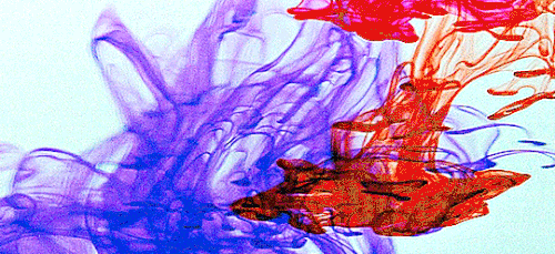 tumblr 1823034b74b394fca2bf01ee60fbc9d8 385c1195 540.gif