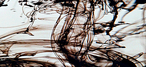 tumblr 44f9198c562ed1baa60ee430022f1dbc 1a21faa4 540.gif