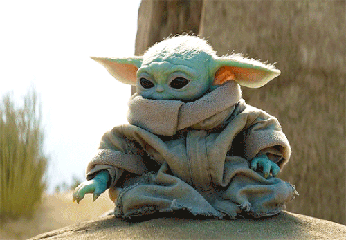 tumblr c0d86e604ce0ffc2691a5a8d69bd7d43 d9098e00 540.gif
