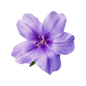 purple flower.png