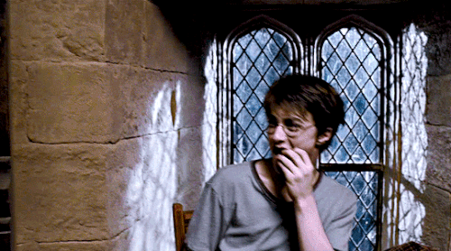 tumblr 713a19c1a50c40a3eb5a490b45a14c08 5a97bb48 540.gif