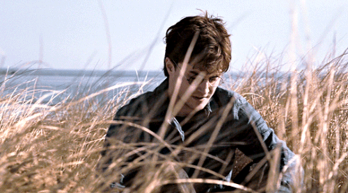 tumblr b3ad1c7daae0f602f15b802386a80823 9aba0dcd 540.gif