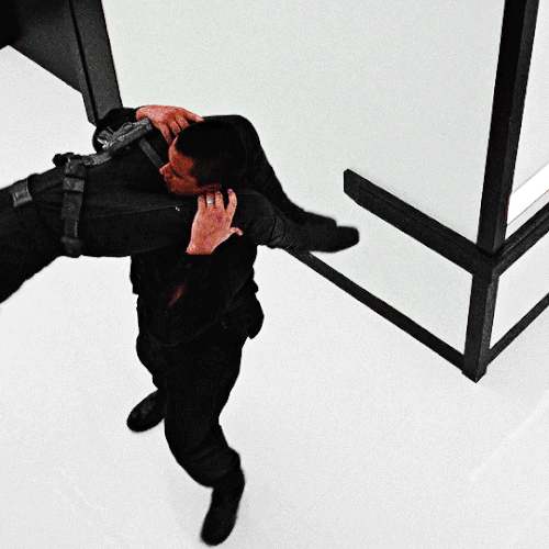 tumblr a265f5e0170aaf6f52bb4f756db988c9 bd4d2fa5 540.gif