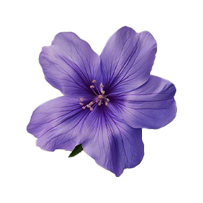purple flower 1.png