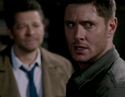 tumblr 49d3f6d8de932660ef130eac13ca7e88 35b6c546 540.gif