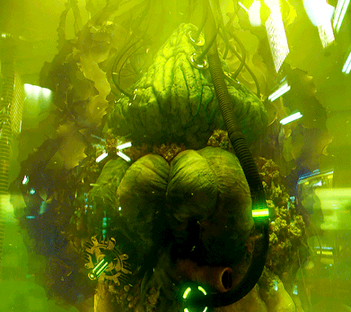 tumblr fe351bff91330559bcf6d5ac23e80e2b e514fe21 540.gif