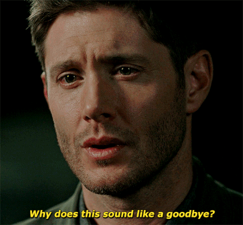 tumblr fc793a707bddf7a6c68bf95e4f96b9e9 a8da8e5c 540.gif