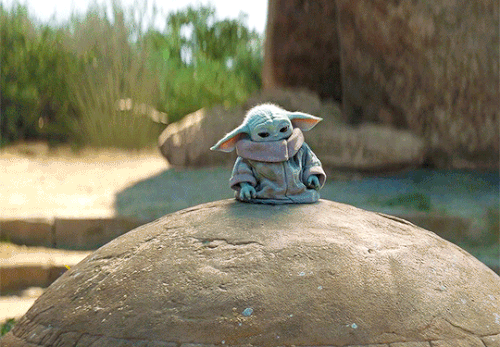 tumblr af917d10b6a036e215d0755a9e01c406 51590f04 540.gif