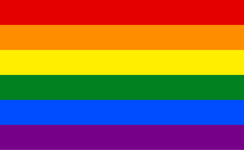 Gay Pride Flag.svg.png