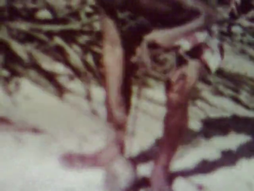 vlcsnap 2025 05 26 15h38m24s779.png