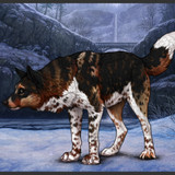 Screenshot 2025 05 26 01 46 45 108 com.android.chrome edit