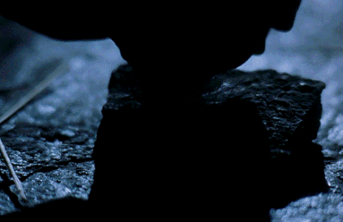 tumblr f7a656ea7c9dd4f3997632479fd17fde 2fe107d3 540.gif