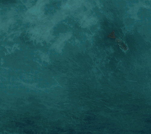 tumblr 7947606820c4ef65f70dbf77b35cc032 2ea407d2 540.gif