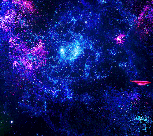 tumblr 6a70141320e52ed26ae81d86476f6937 3dd78a88 540.gif