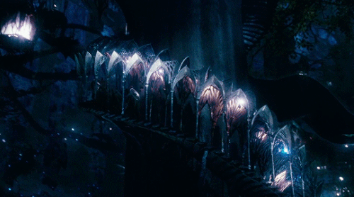 tumblr 4f4ab20e996c51f0982b1f0d495f5be9 10af447f 540.gif