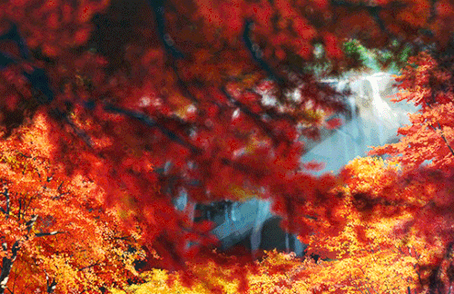 tumblr f0f2aef2ec1d025b7941c894dd1aec30 213ee845 540.gif