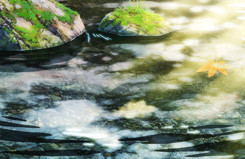 tumblr 6a7d1892c68e80fe9147a375f2917952 7edd78b4 540.gif