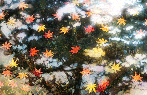 tumblr 49a2ca869ca63b162e3bbc1cc95edd8b 992fd175 540.gif