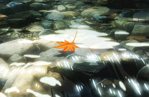 tumblr ec23d57bd900f6696b00ea0e8b7c1398 c450656a 540.gif