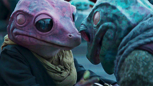 tumblr f044644abafba67c3d4024d35b24c071 edcb8863 540.gif
