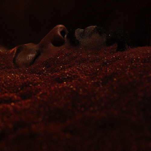 tumblr 133e19717efc95464821436d345b622a 3c13d27f 540.gif
