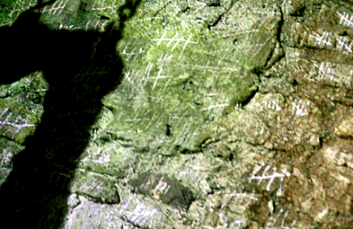 tumblr 45b22f9ef298e0e167b89fa1e0c21b0b 25490c78 540.gif