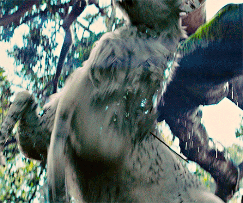 tumblr e81923896650d75701d86b9413284406 163905ca 540.gif